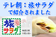 旅サラダで紹介
